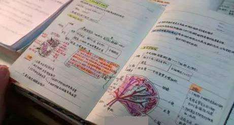 ��ѧ����ǰӦ�������������