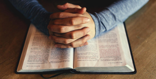 BIMӦ�ü��ܿ��Գ����������