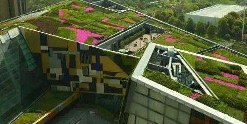 ѧϰ԰����ƽ����ݶ��̻�����ЩҪ��