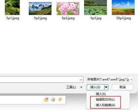 商务办公培训之PowerPoint插入图片的方法哪个好