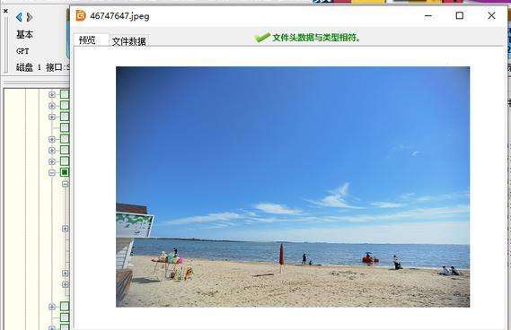 ����ά����ѵ֮�ƶ�Ӳ����ɾ����Ƭ��λָ�