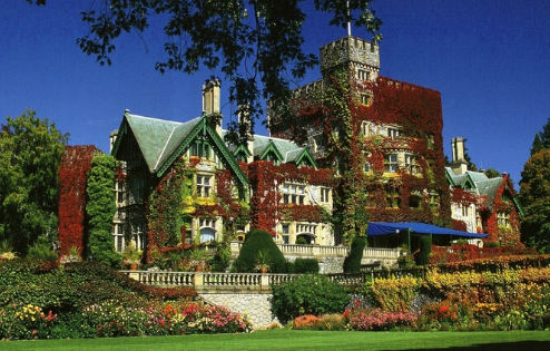 ���ô���ѧ����������רҵҪ������Щ��