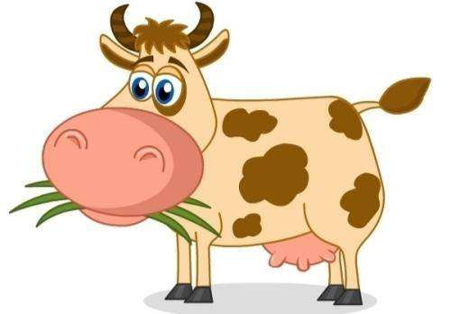 ����Ա�����������Ӧ�ù�ʽ���ţ�Բ���