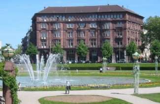 �����¹�����ķ��ѧ����Щ��ѧ����