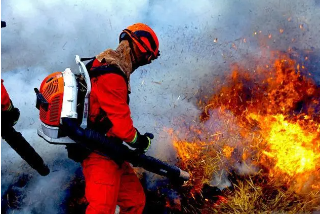 ���˿��Ա�����������ʦ��