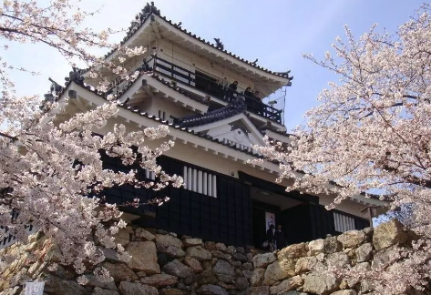 �ձ���ѧ���ʹ�ϵѧ��������