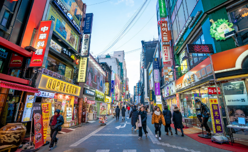 ������ѧ����ѧרҵ��������