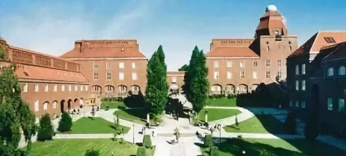 ���������ѧ��רҵ֪ʶ����