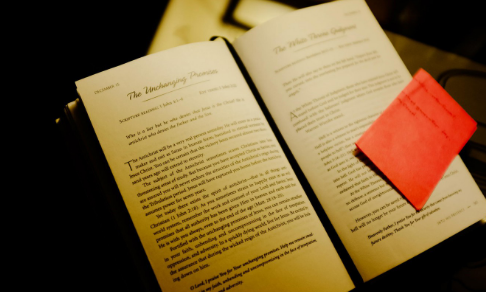 ����Ա���ۿ��Խ�����������ʹ��⼼��