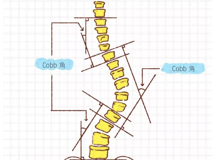 ��������������Ч����ô��