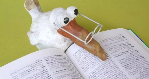 ��������ʦ���Ա�����Ҫע��ʲô��