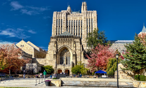 ��רҵ����������ѧ��Ҫע�����������Щ��