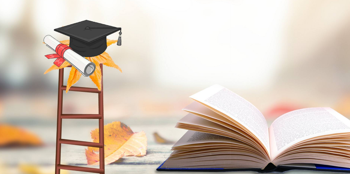 2022�꿼�г��Գɼ�����