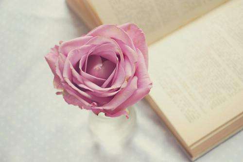 ��θ�Ч����SAT2���Ե����Ƶ���