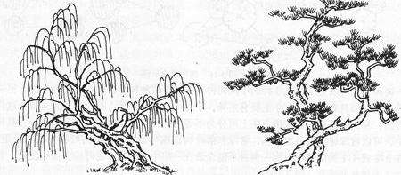 ԰�������ѵ�д�ֲ����ЩҪ��