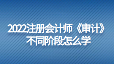 注册会计师不同阶段怎么学习审计一科