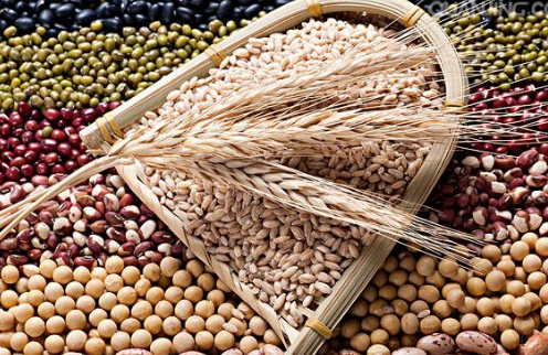 ����Ӫ��ʦ���Թ���֪ʶ����