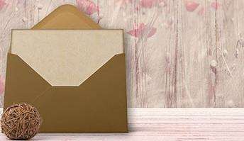 �ɿ�����ר��������רҵѡ��಻��