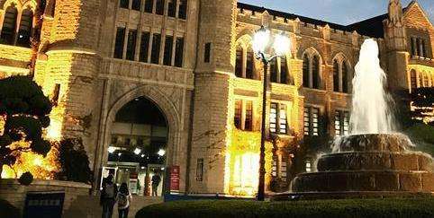 ���Ʊ�ҵ��������������ѧ����Щ����