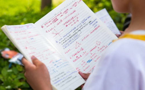 SAT����ģ��ѵ����������