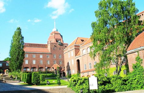 �����ѧ����ѧרҵ����ԺУ�Ƽ�