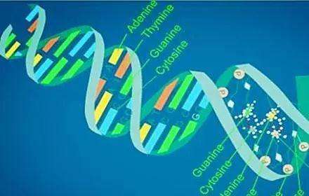 ������������ѧרҵ˶ʿ��ô��