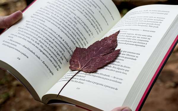 һ����������ʦ�������ⳡ�����ø���