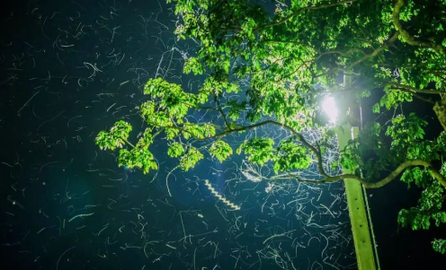 ����Ӱ������ʦ������̬Ӱ��֪ʶ����