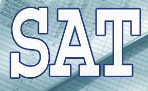 SAT����д��������߷�������