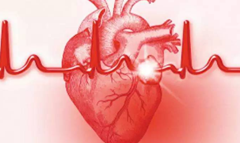 ִҵҽʦ����Ԥ���ļ��������󸴷�����