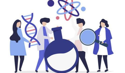 ������ѯʦ�����������������