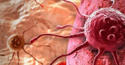 ��ʿ�ʸ��Գ���֪ʶ�����