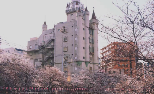 �ձ���ѧ����ѧ������רҵ�Ƽ�