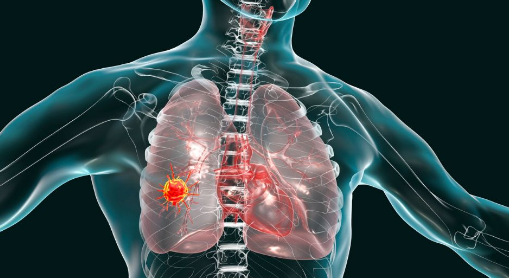 ��ʿ�ʸ�֤����������ѭ��ϵͳ��������