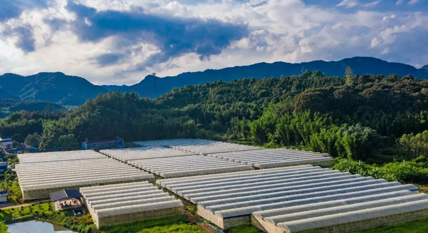 ����Ա���Գ�ʶ�������ҵ�ֱ���ʲô��