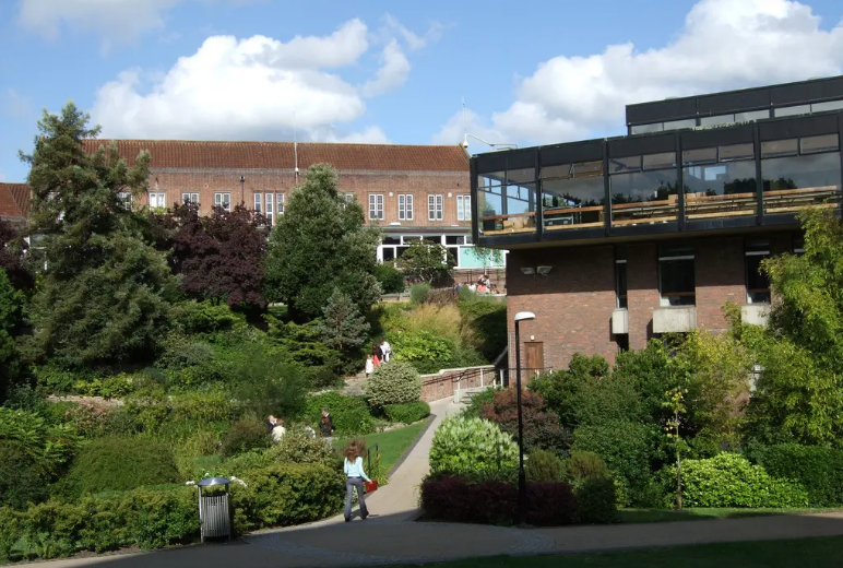 Ӣ����ѧ�ϰ��նٴ�ѧ�о�����������Ҫ��