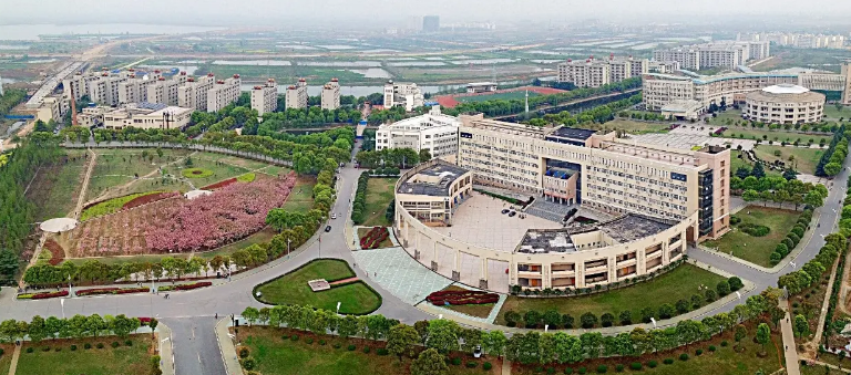 �о�������