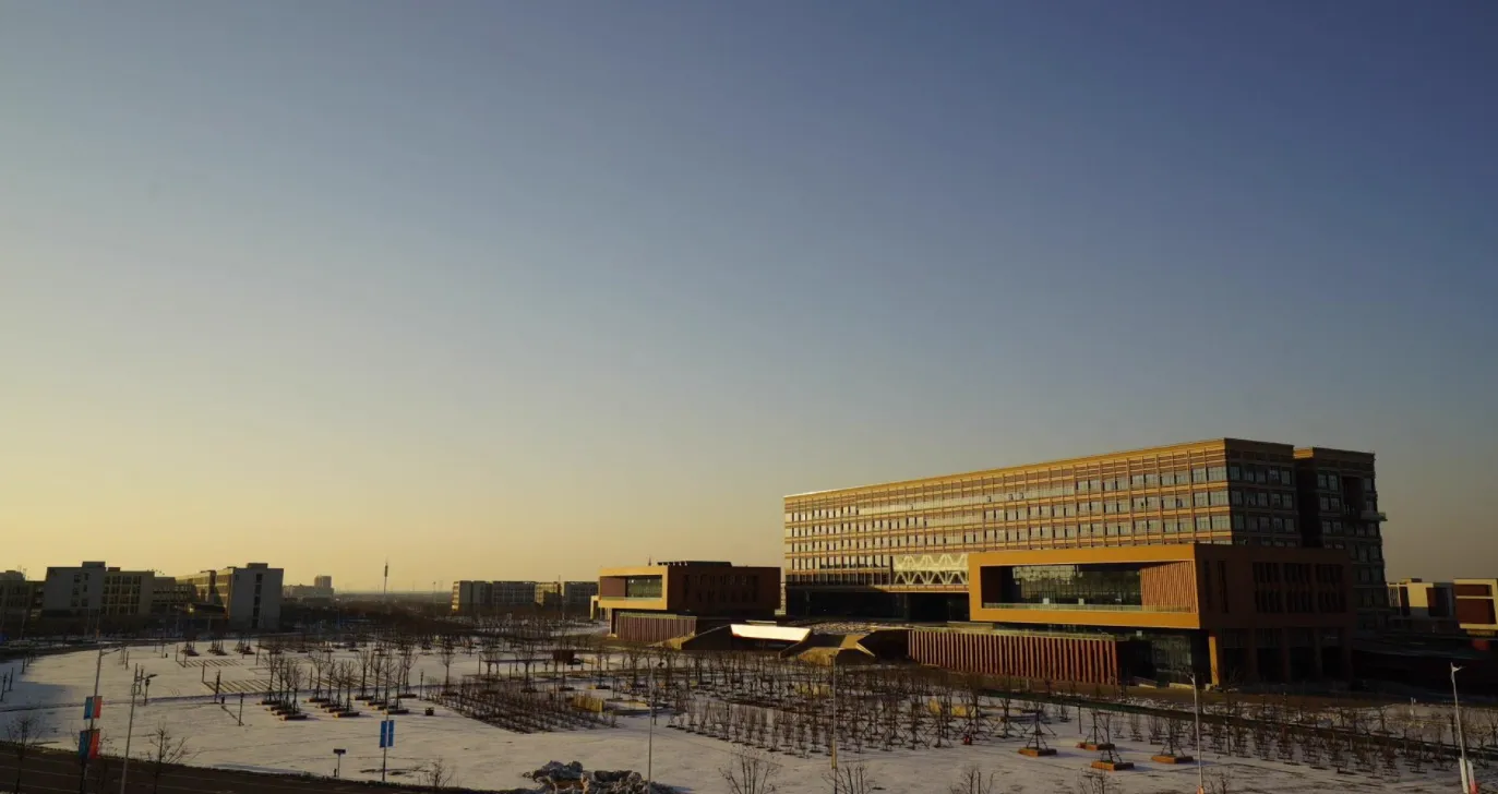 ����������ѧ���˸߿�����