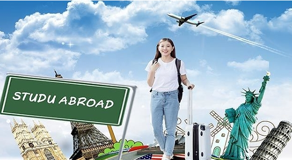 �п���ȥӢ����ѧ��ʲô����