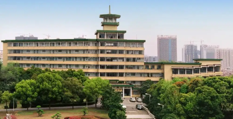 ���е���