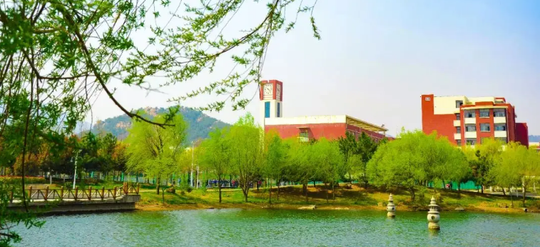 �о�������