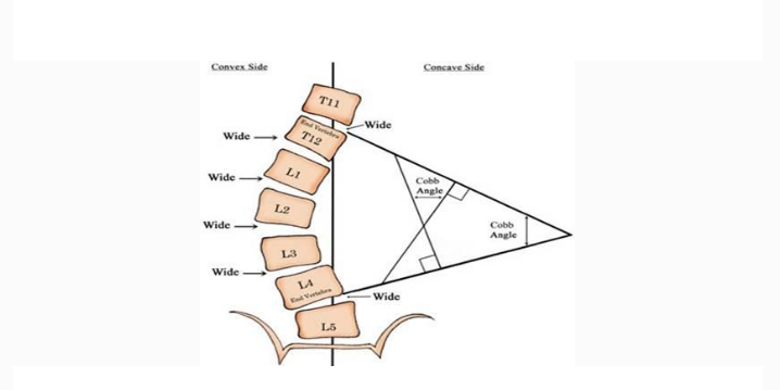 ������������ȼ�