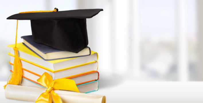 ���ڽ���������У�Ͷ���