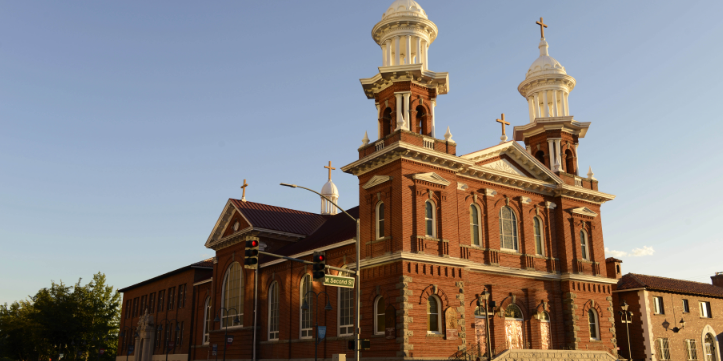 ȥ������ѧ����������ľ����רҵ��ô����