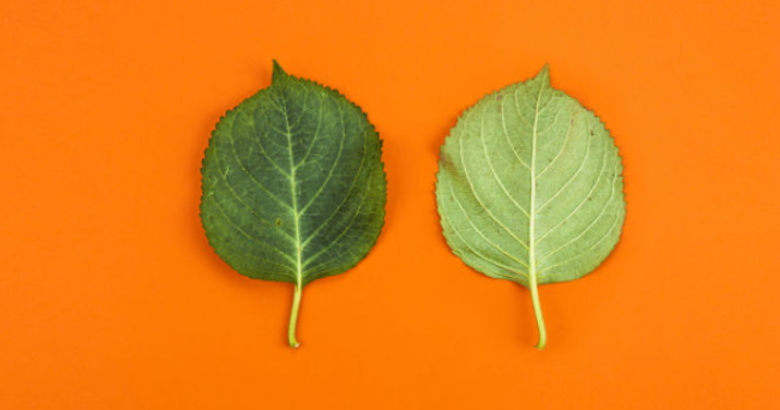 ƽ���������Щ��װ�ַ�