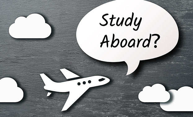 ������Ӣ���ĸ���ѧ���ø�