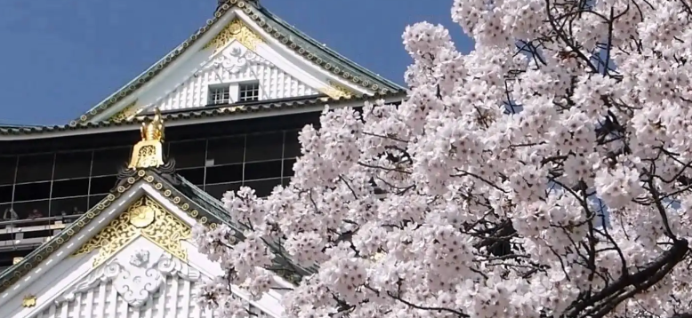 �ձ���ѧһ������Ƕ���Ǯ��