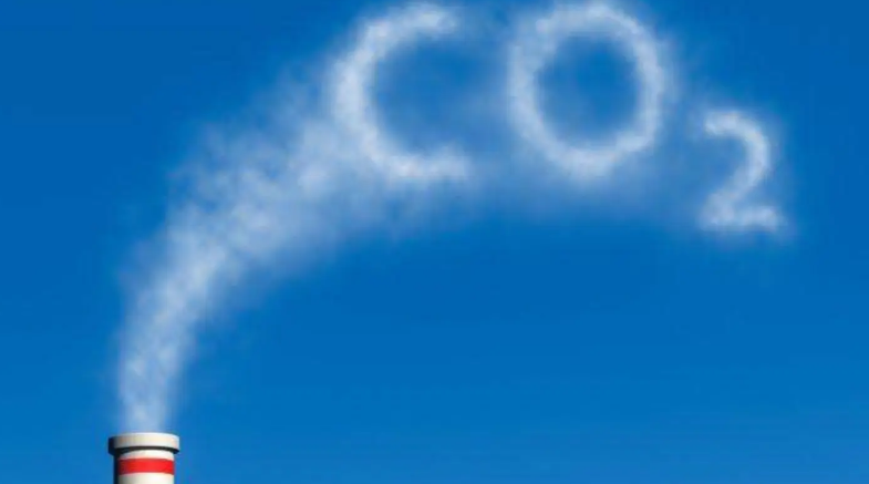 ̼�ŷŹ���ʦ��̼�ŷŹ���Ա����