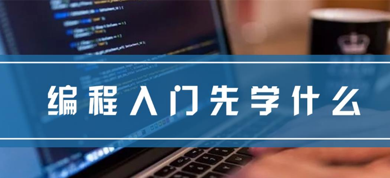 ������ѧ�����ѧʲô