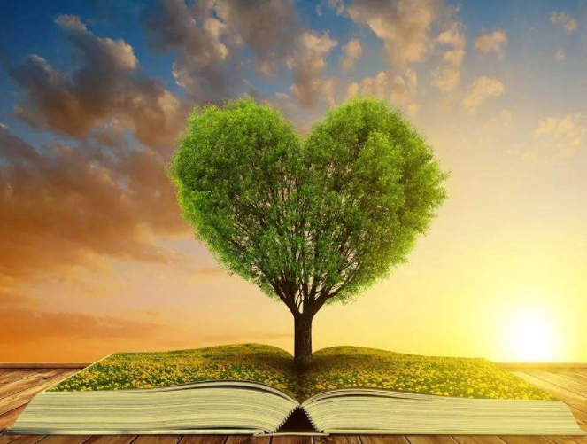 2022������ѧ˶ʿ���к��ҵ������ʲô